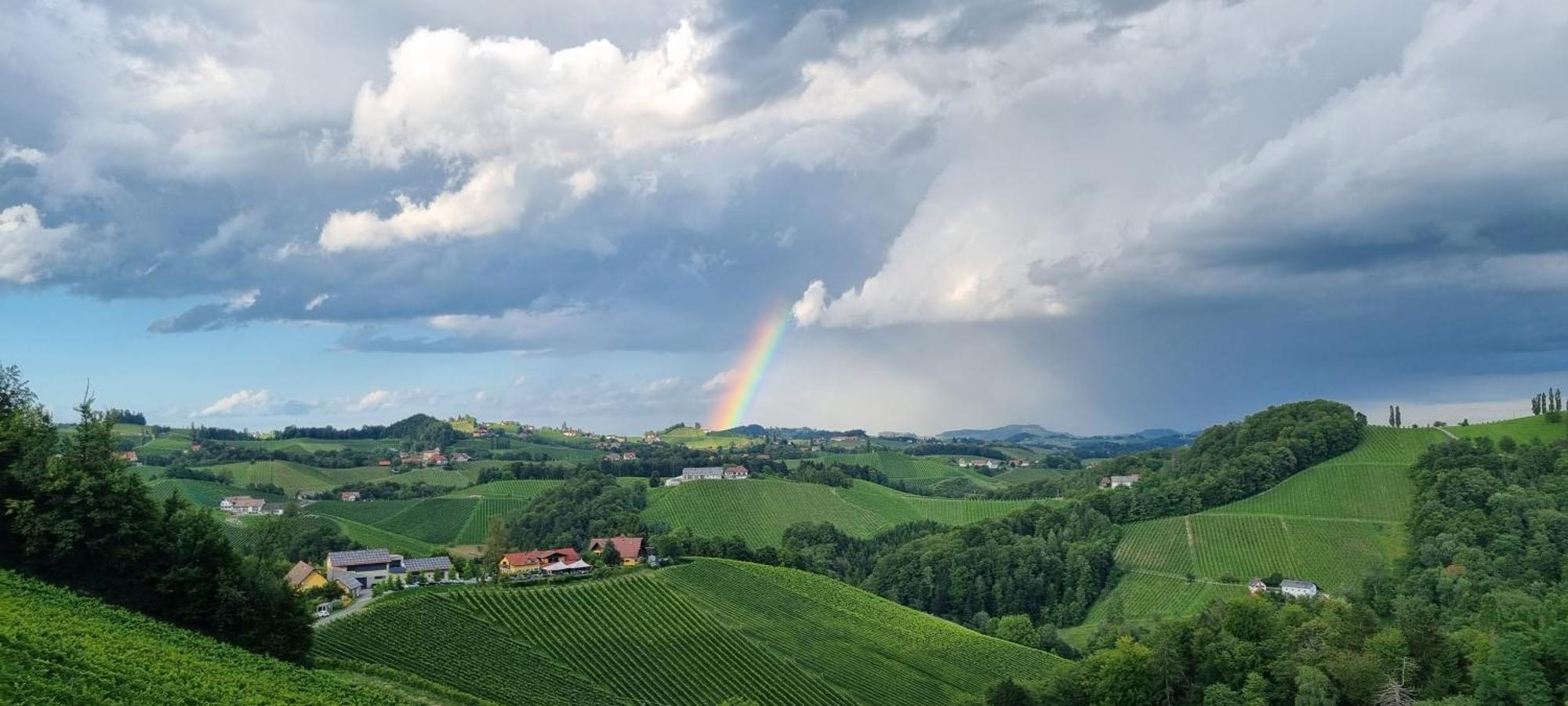 Отель Weingut Essgut Schlafgut Sabathihof-Dillinger Гланц-ан-дер-Вайнштрасе Экстерьер фото